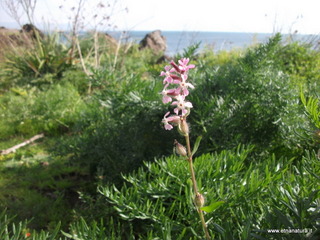 zzena-07-04-2013 08-37-53